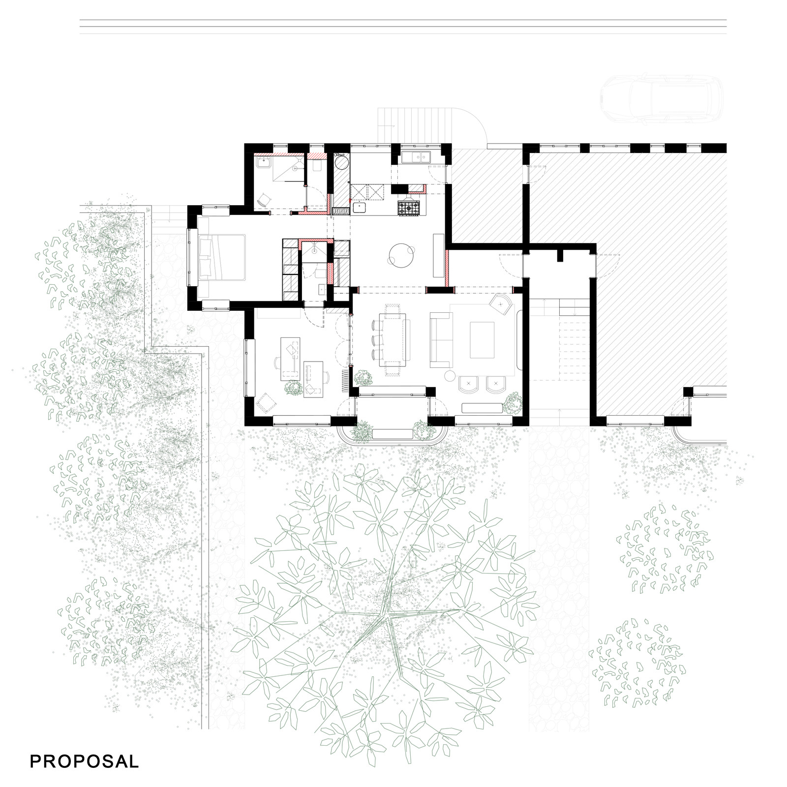 Ginkgo — view 6