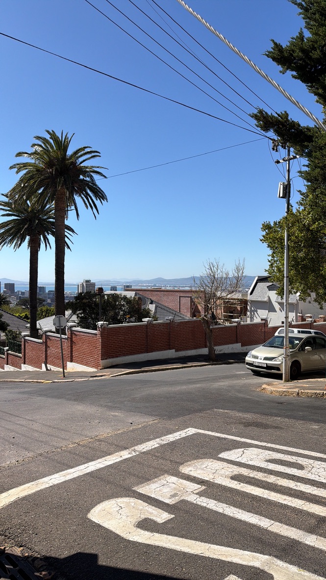 Forest — view down the sloped street toward the city and bay