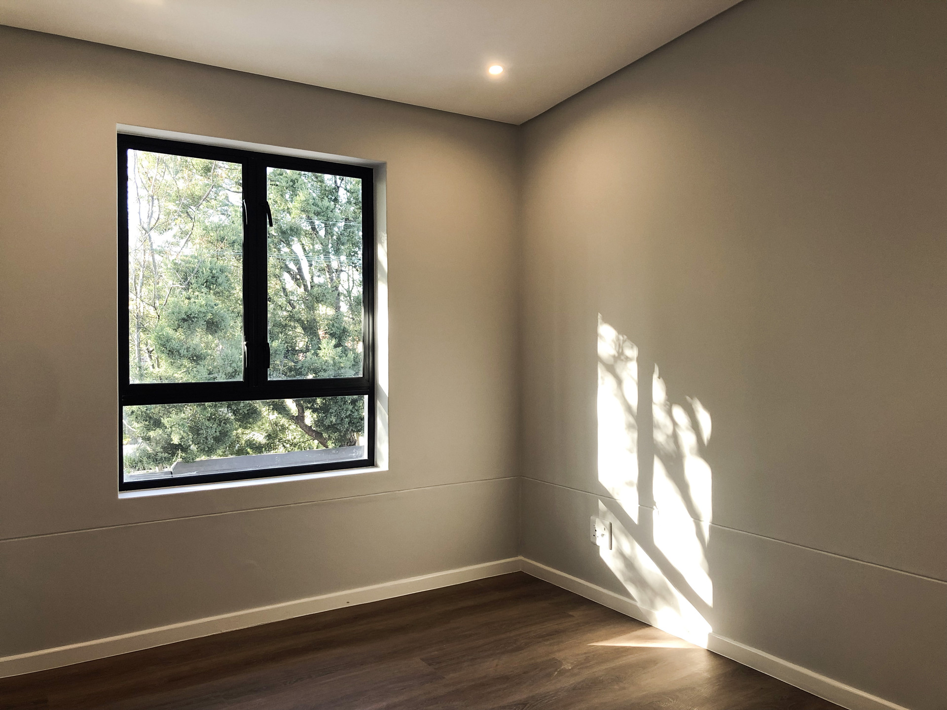 Honeysuckle — view 4