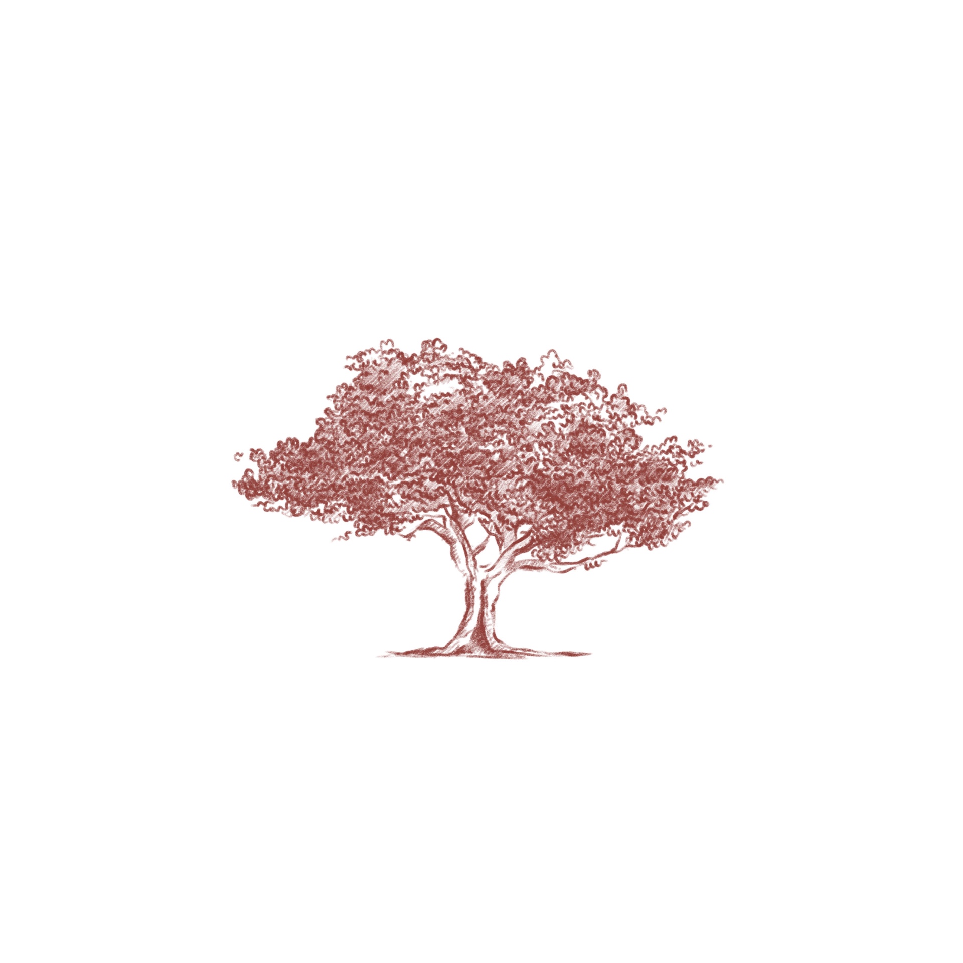 Hand-drawn tree illustration