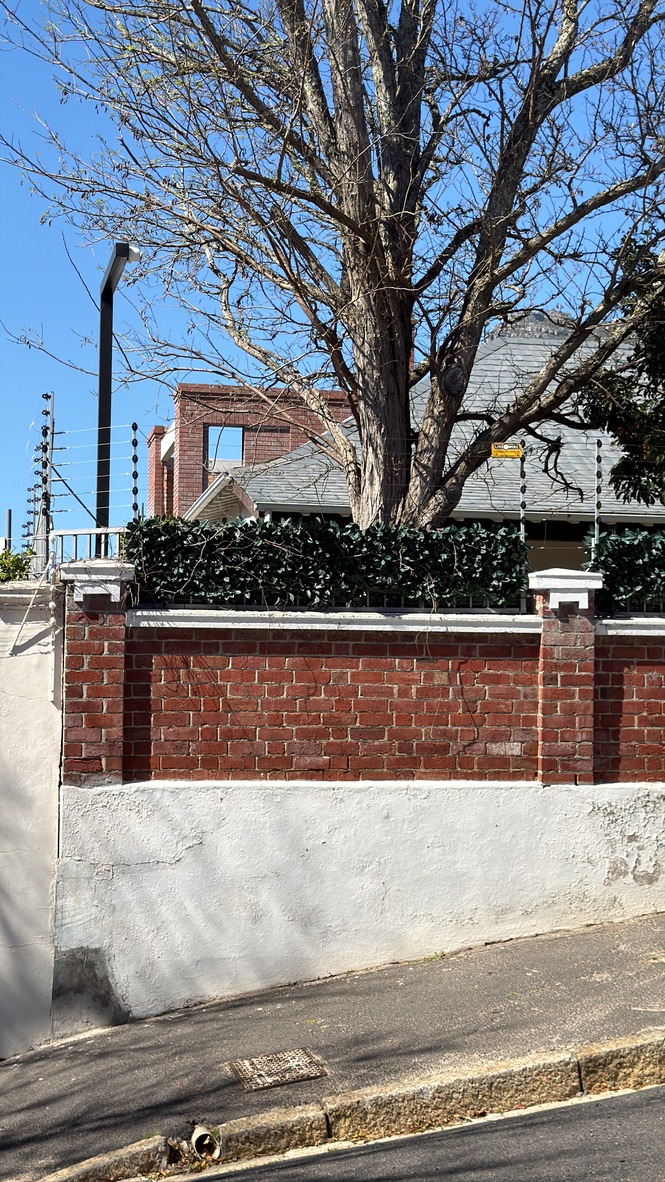 Forest — steep street with brick wall, hedge and bare tree above the site